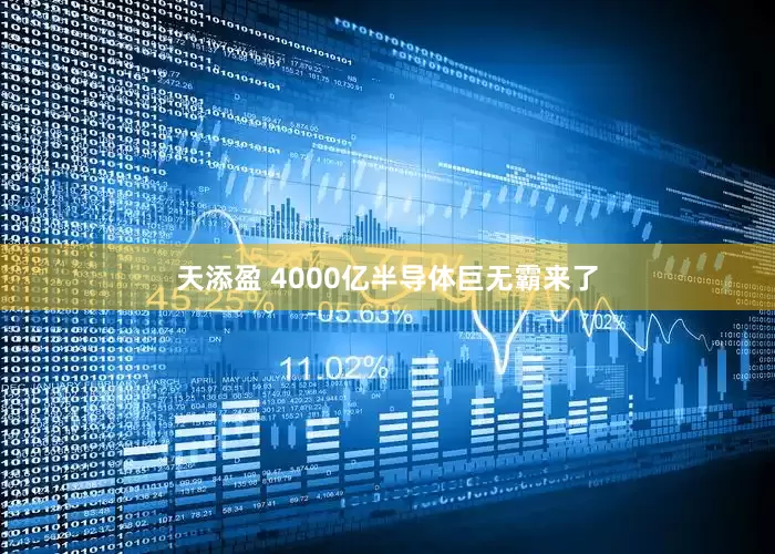 天添盈 4000亿半导体巨无霸来了