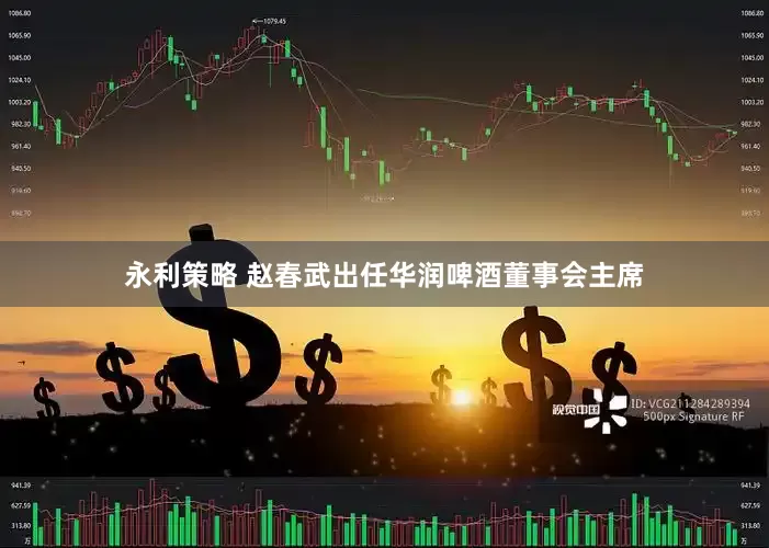 永利策略 赵春武出任华润啤酒董事会主席